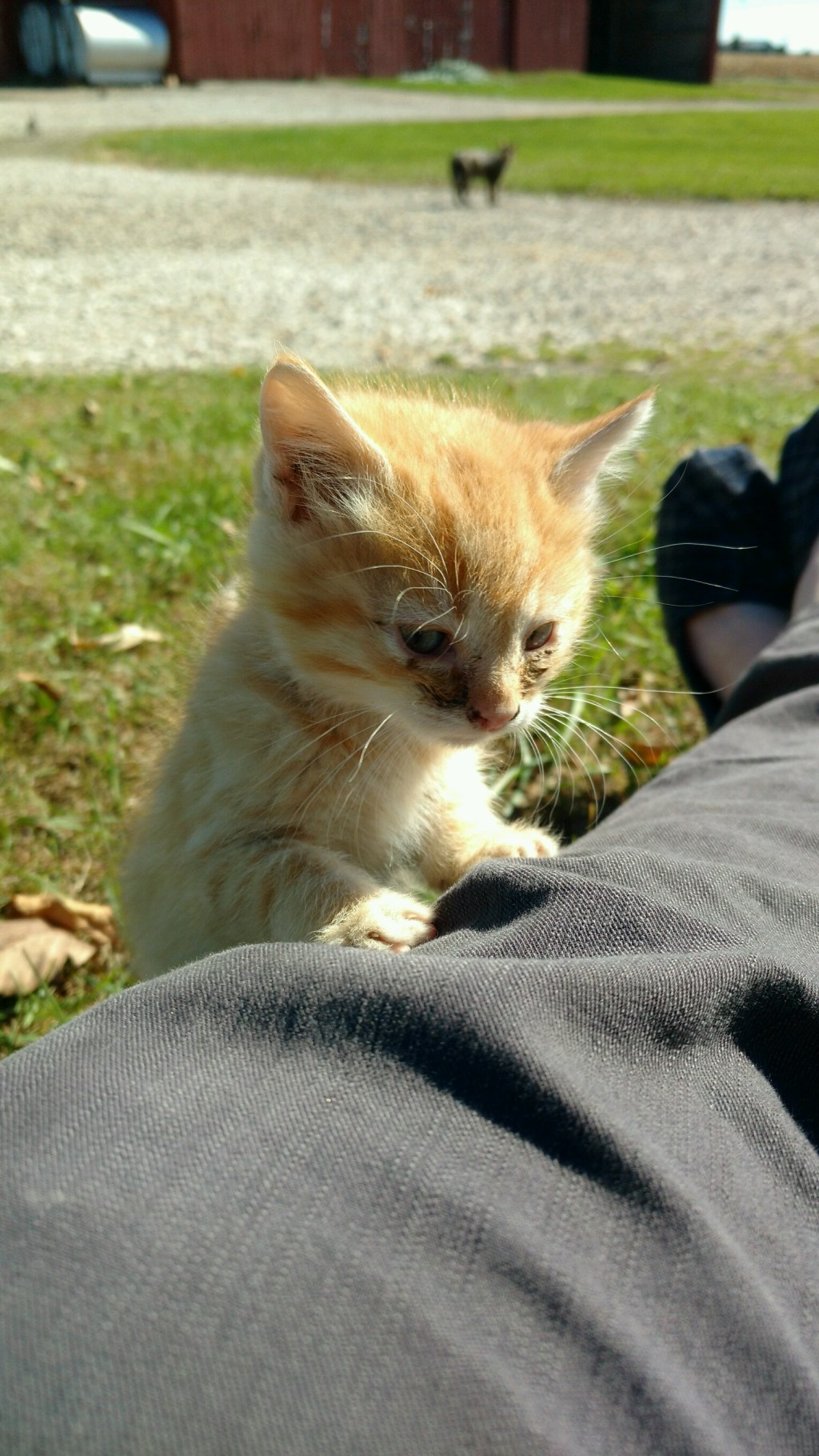 img_20161013_133521895