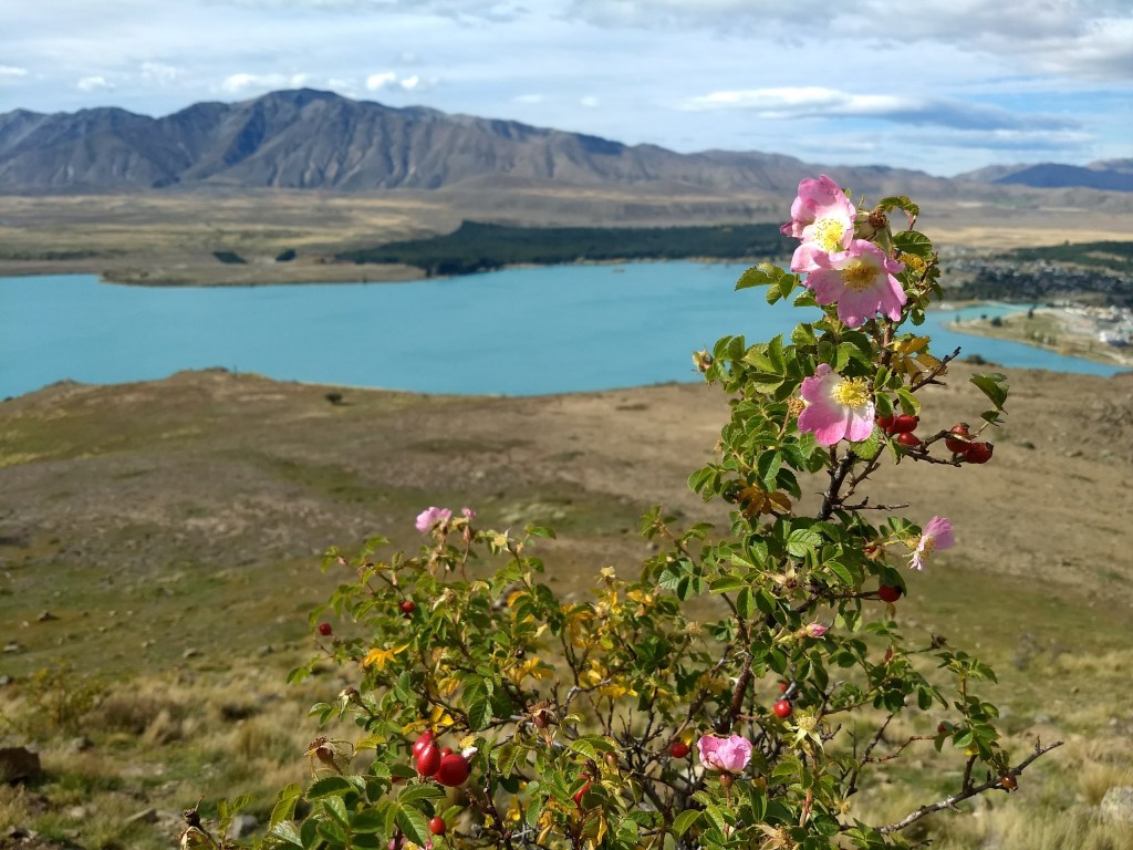 IMG_20180404_113259788